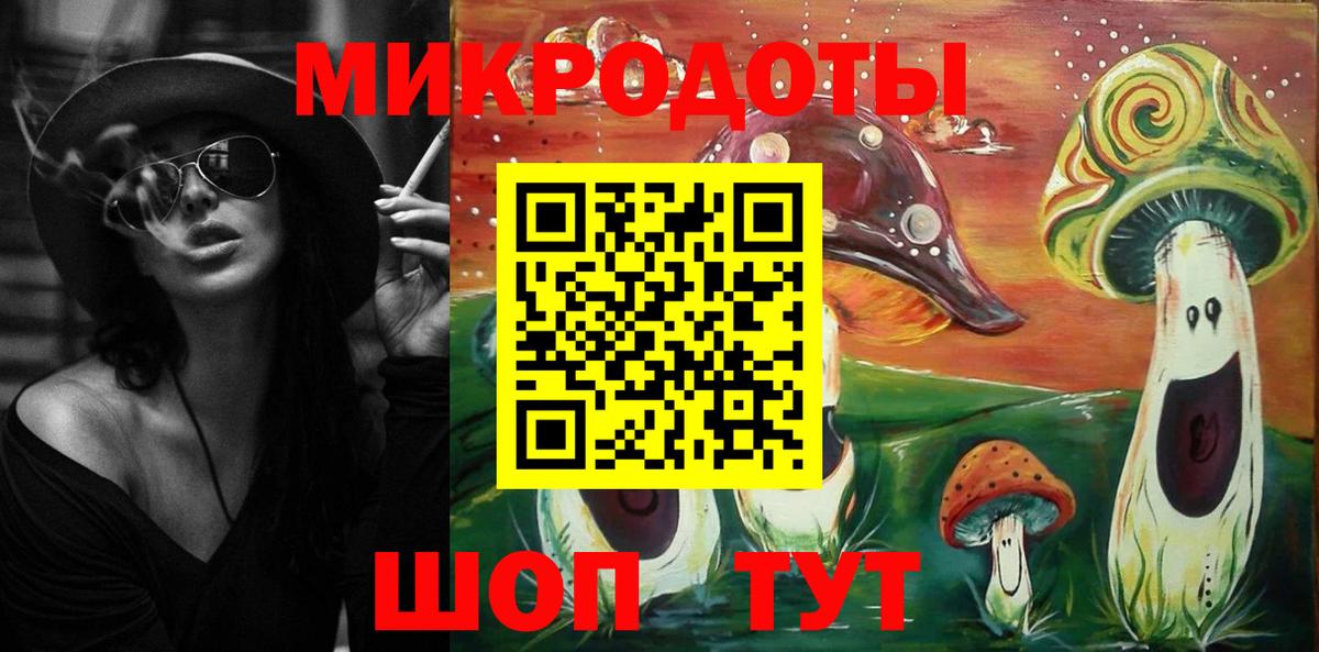 Псилоцибиновые грибы Cubensis Конаково