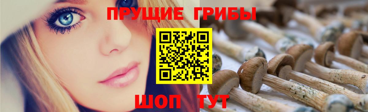 Конаково  Псилоцибиновые грибы GOLDEN TEACHER  купить наркотик  Вход с VPN 